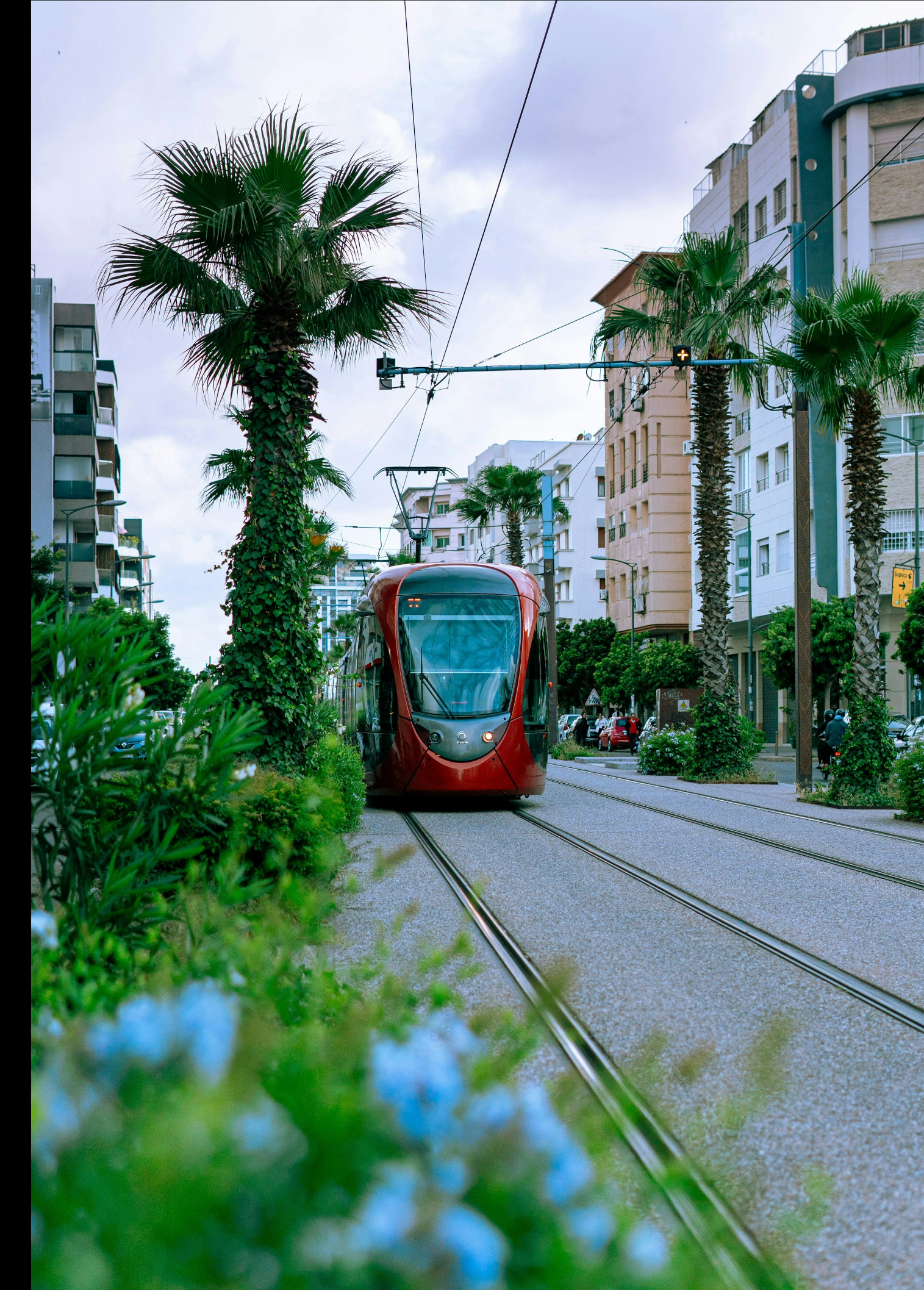 Modern tramway through Casablanca's business district, palm-lined streets near the Casablanca Finance City corridor.
