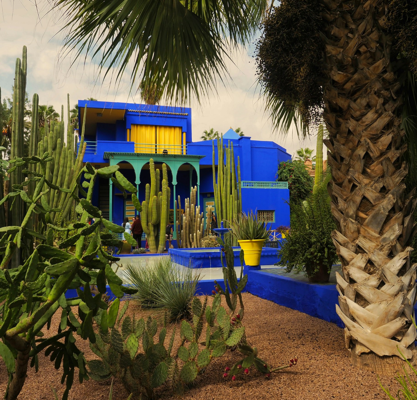Cobalt-blue villa and cactus garden at Jardin Majorelle, Marrakech, Morocco