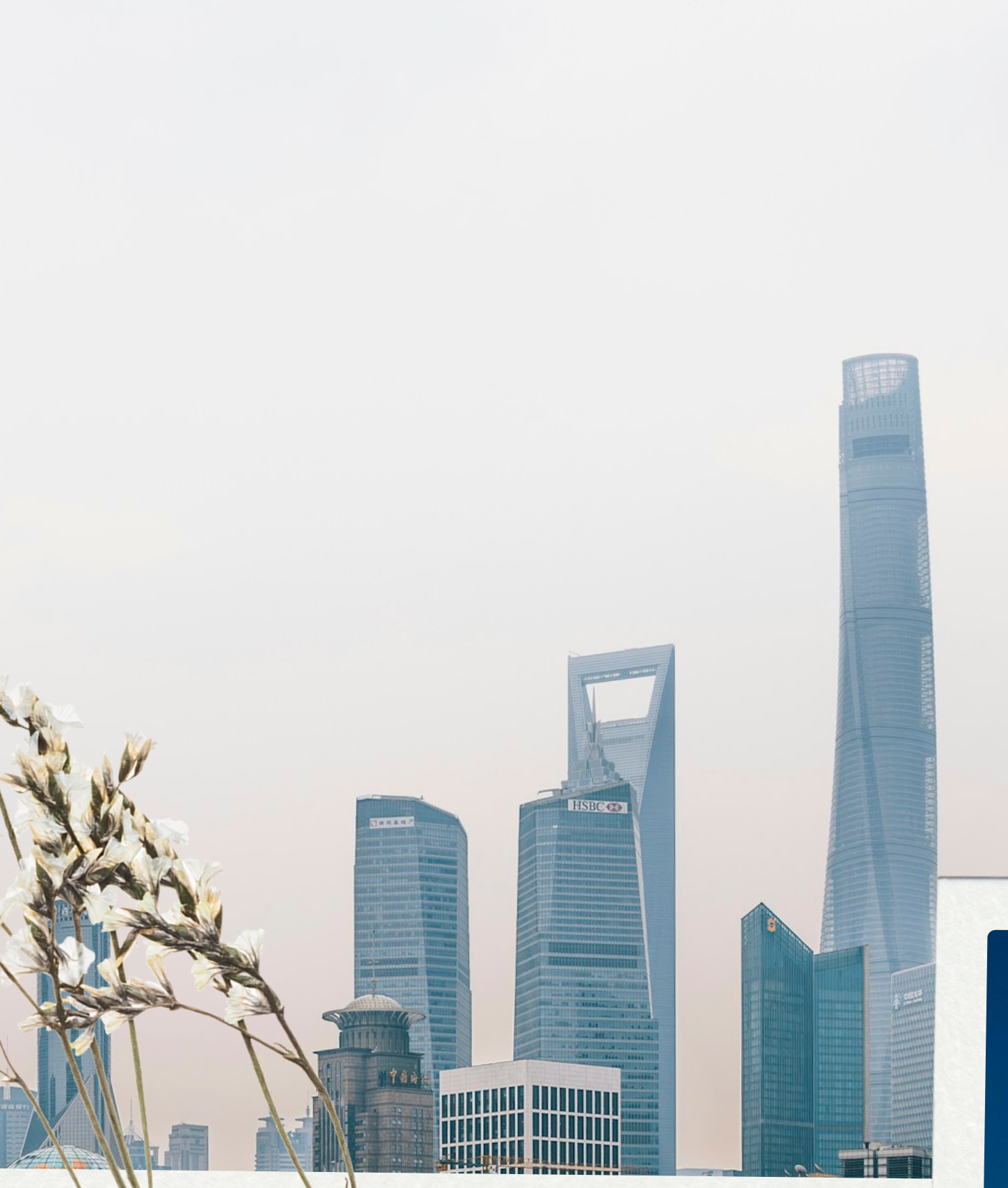 Shanghai Pudong skyline by day, China