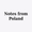 Notes from Poland, Poland's digital news website