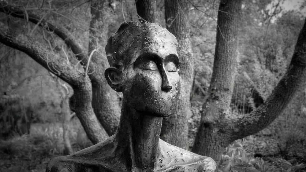 Silence, my friend and foe: how power, race and fear shape what we say post image