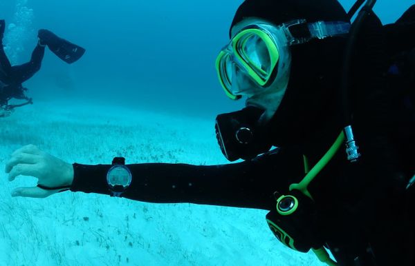 About diving and software engineering