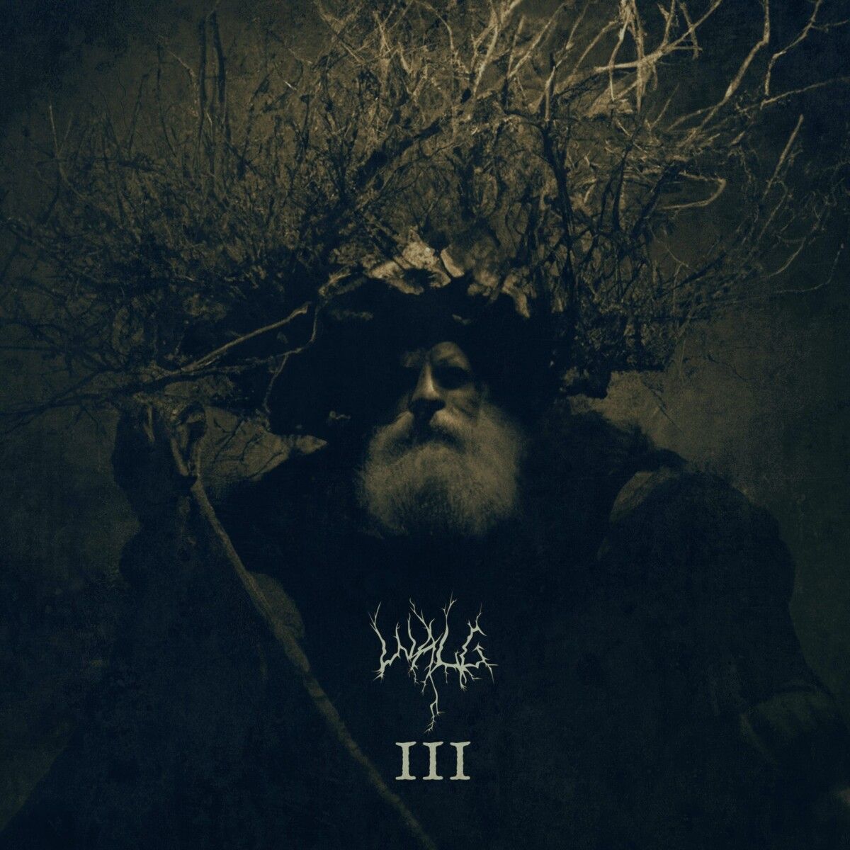 Review: Walg – III