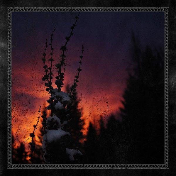 Review: Blackbraid - Nocturnal Womb (2026)