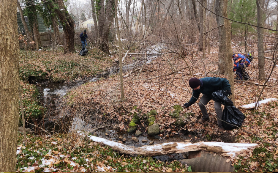 A person picking up leaves in a forest

AI-generated content may be incorrect.