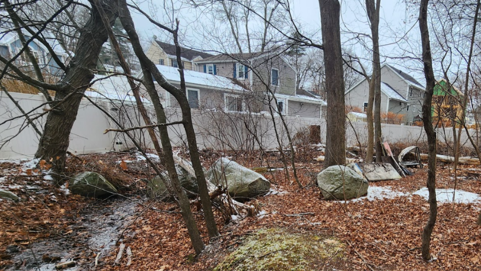 A house with a few trees and rocks

AI-generated content may be incorrect.