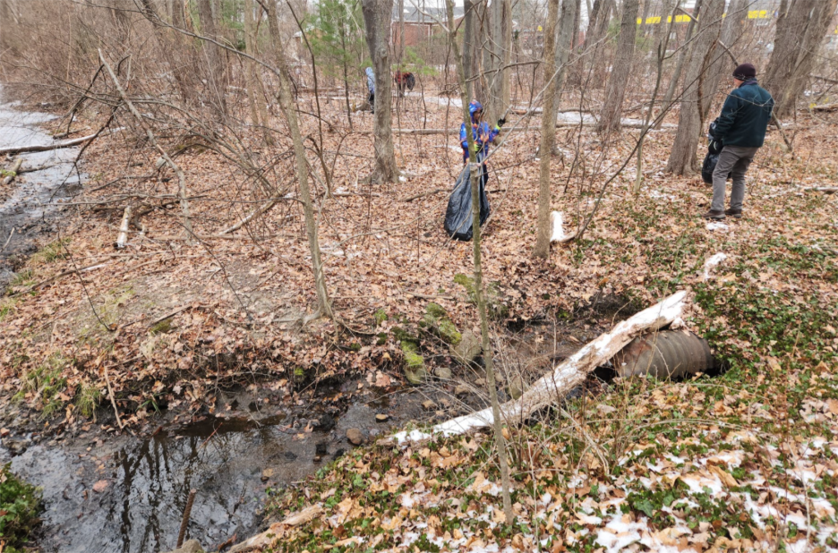 A person in a blue hat in a forest

AI-generated content may be incorrect.