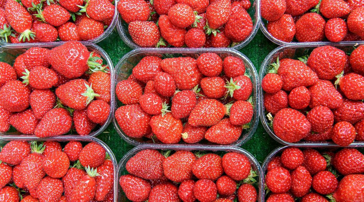 Explore Local Farmer's Markets This Summer