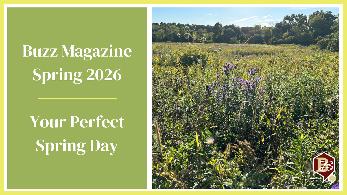 Your Perfect Spring Day in Burlington