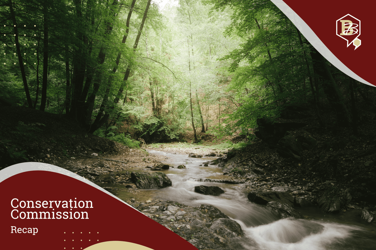 Are Burlington's Stormwater Bylaws in Line for an Overhaul?