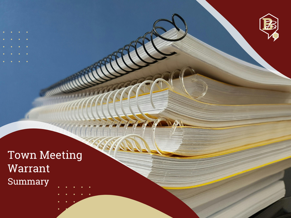 Articles Seek to Bring Town Center Vision to Life