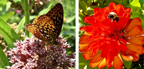 A Garden is a Belief in the Future