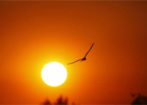 See the Most Extreme Temperatures in Massachusetts History