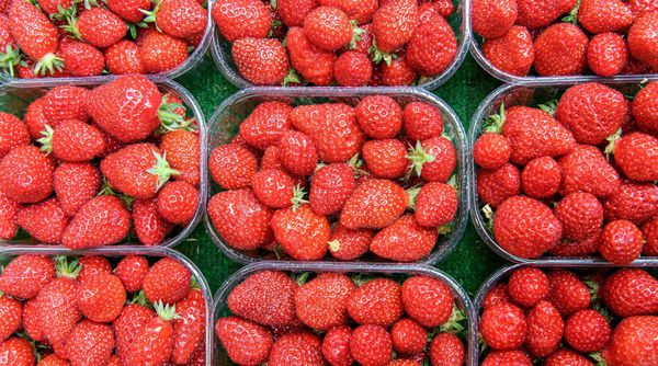 Explore Local Farmer's Markets This Summer