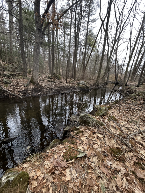 Where Does Burlington’s Water Flow?