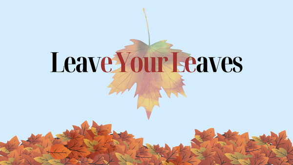 Letting Leaves Pile Up Can Benefit Your Yard and the Ecosystem