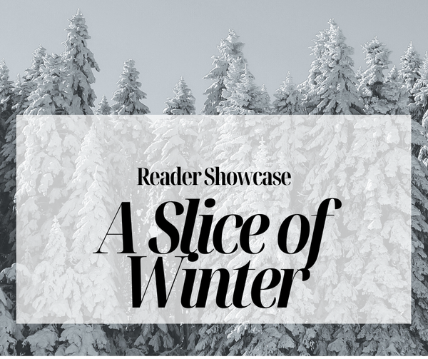 A Slice of Winter: Poetry from Burlington