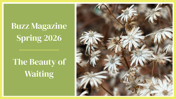 The Beauty of Waiting: The Benefits of Holding Off on Fall and Spring Cleanup