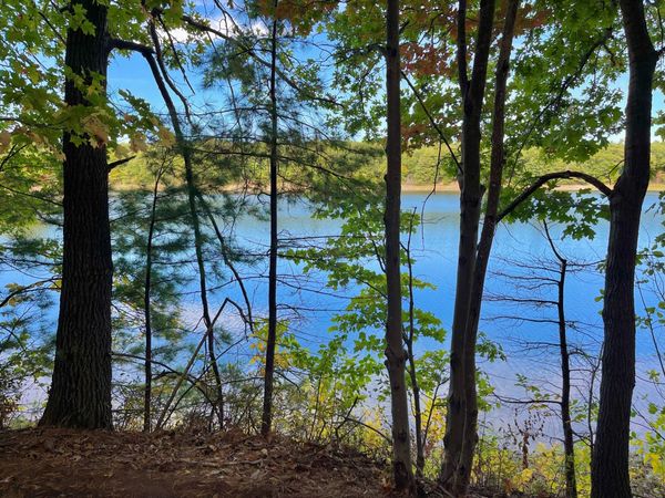 Daily Buzz | Town Finance Committee Votes on Official Funding Recommendation for New Buildings