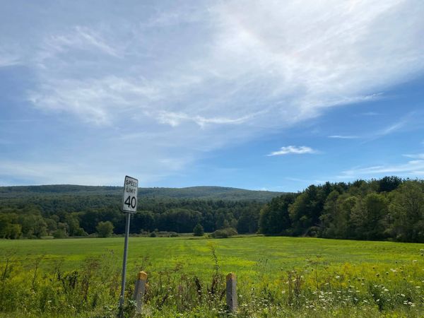 Daily Buzz | Let's Try This Again