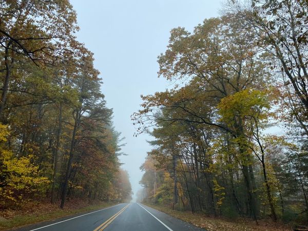 Daily Buzz | School Committee Discusses How to Best Serve DEI Needs