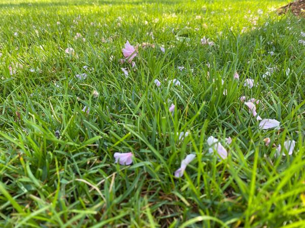 Daily Buzz | Putting 14 Legislative Hours Behind Us