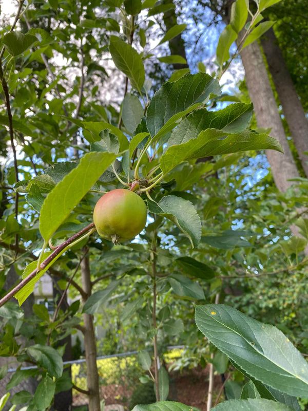 Daily Buzz | Hands Up If You Know What Governor's Council Is