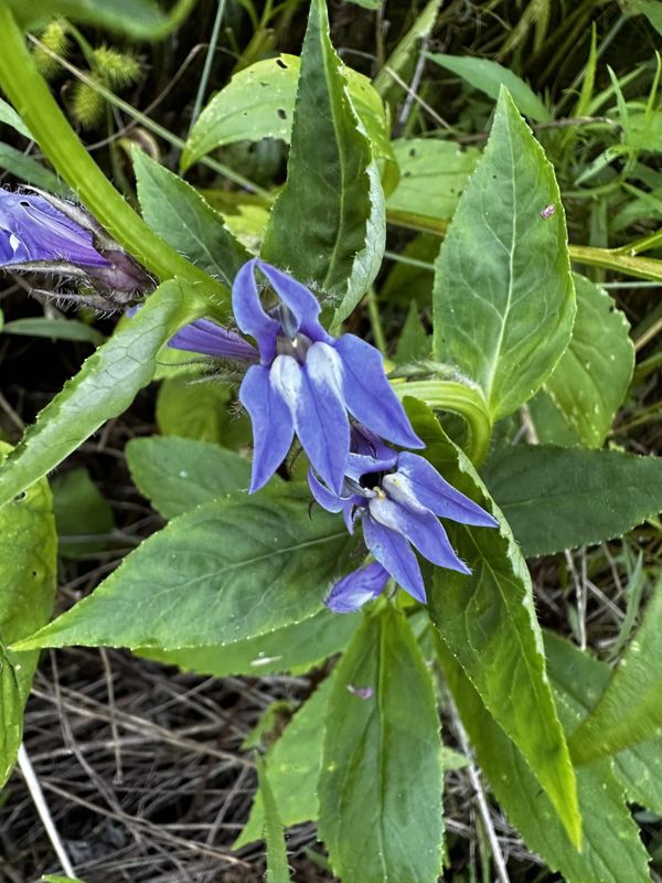 Daily Buzz | Get ready for Parks & Recreation Registration Day