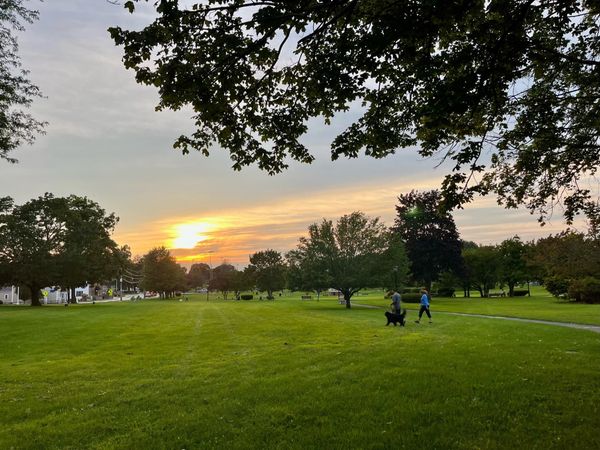 Daily Buzz | Seventh Graders Can Register for Shawsheen's Project Explore After-School Program