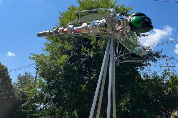 Daily Buzz | Baseball Season Ends With a Bang