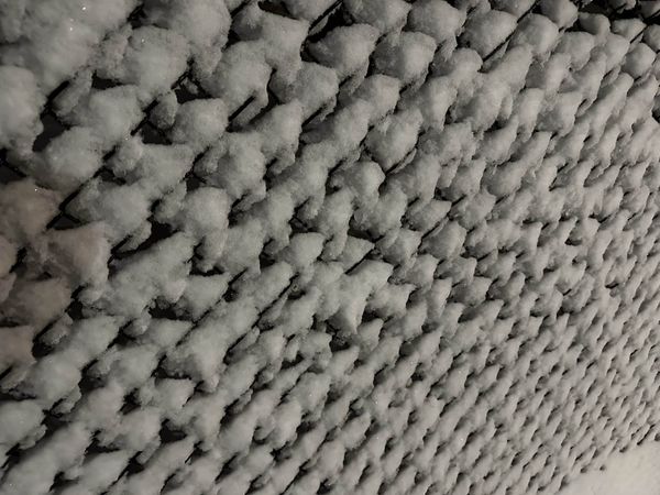 Daily Buzz | Local Election Ballot is Beginning to Take Shape; Contested Races Expected