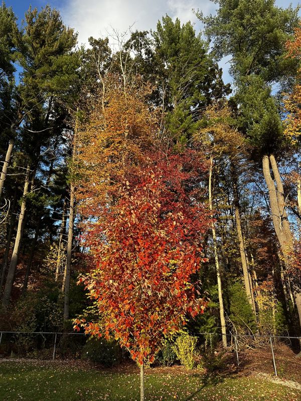 Daily Buzz | Burlington Law Enforcement Hosts Safety Events for Schools, Religious Houses