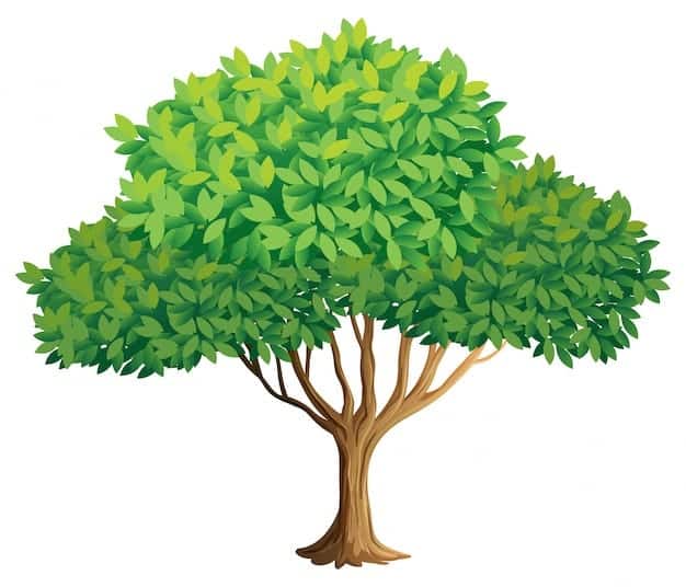 Tree Images - Free Download on Freepik