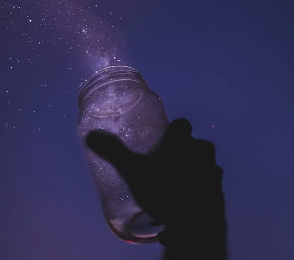 The Batshit Crazy Art Of Following Your Dreams