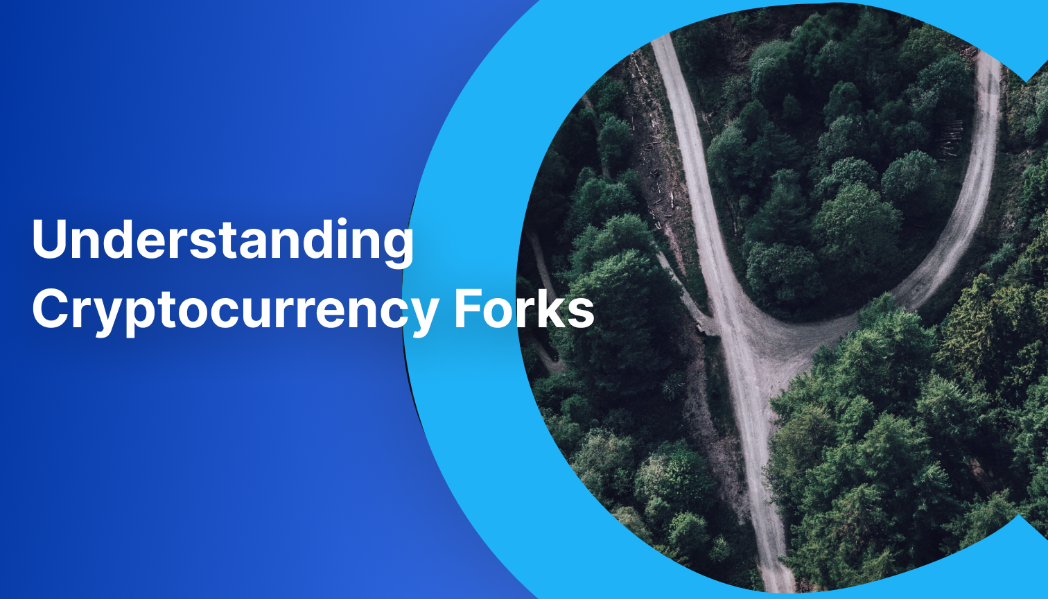 Understanding Cryptocurrency Forks