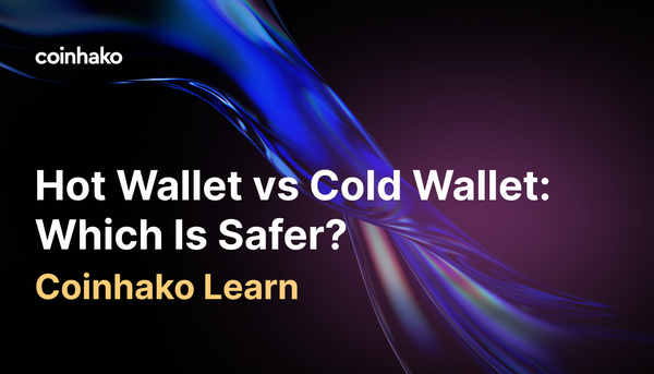 Hot Wallet vs Cold Wallet: Which Is Safer for Storing Crypto?