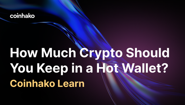 How Much Crypto Should You Keep in a Hot Wallet?