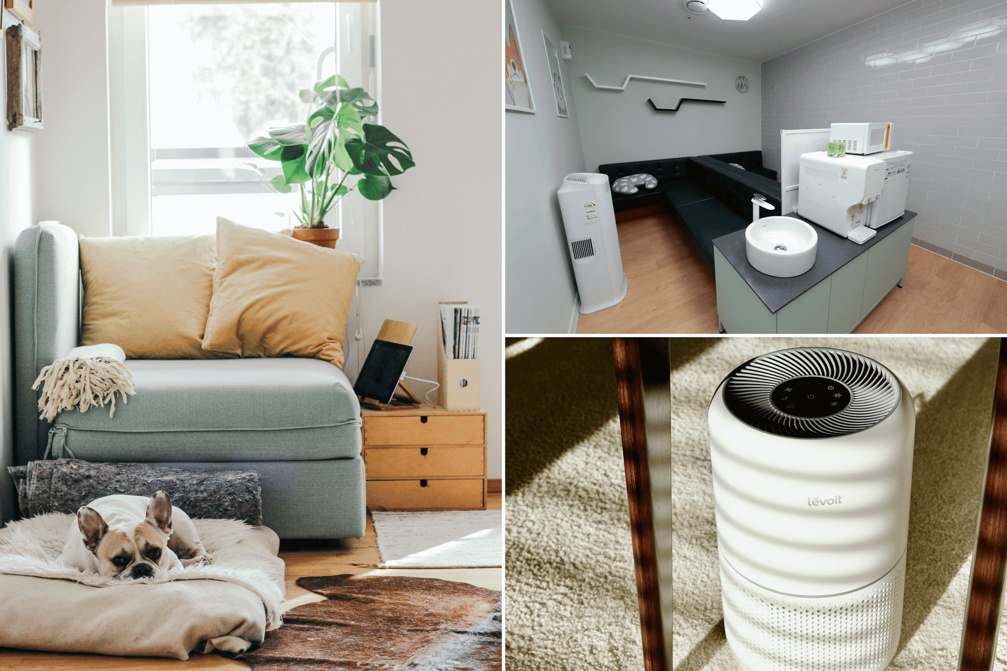 Which Air Purifier with Washable Filter is Best for You?