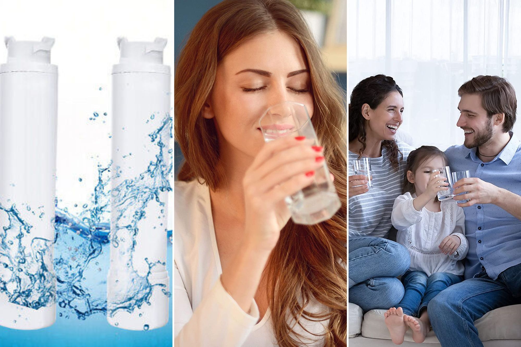 Which Model 9085 Water Filter is Best For My Needs