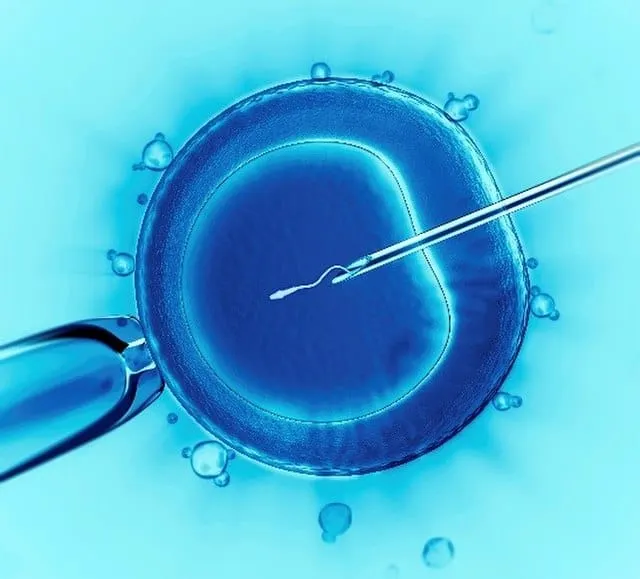 How did IVF even come to be?