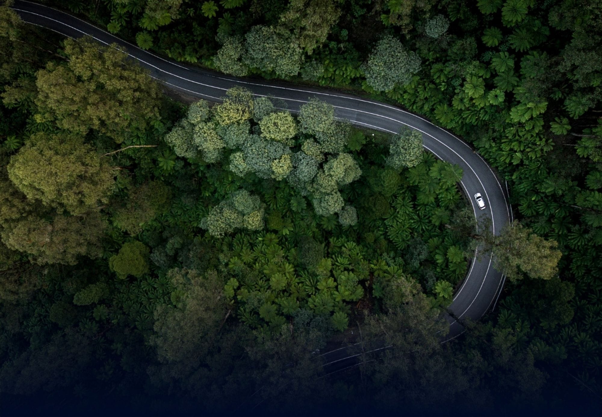 Sub-metru fără INS și fără sensor fusion? FocalPoint Positioning spune că da