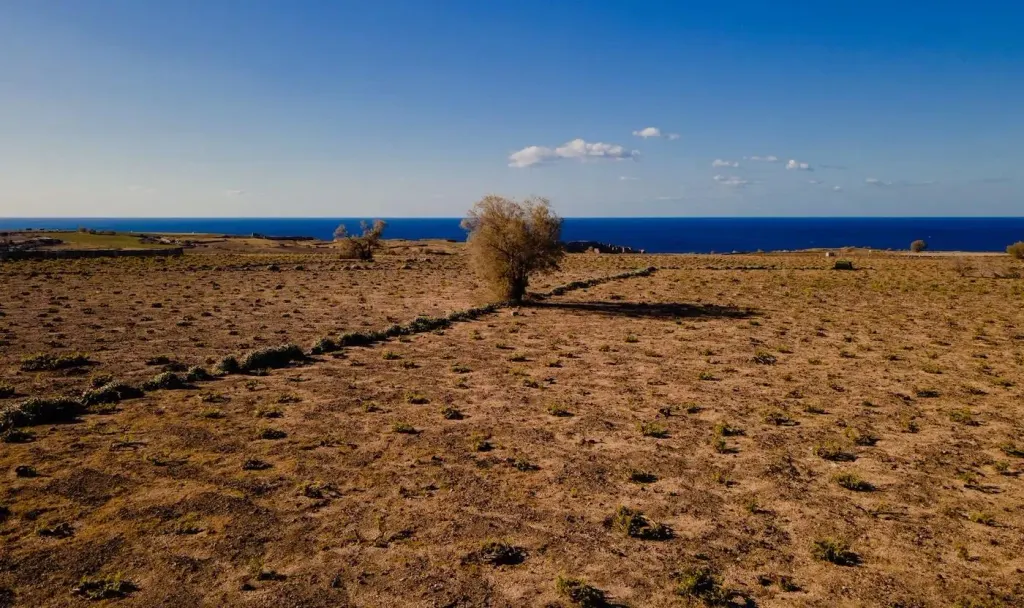 Not Enough Water: What Is The Future Of Santorini’s Wines?