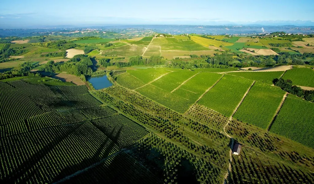 📍Ruché di Castagnole Monferrato DOCG