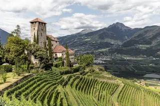 Why You Should Stock Up On The Alpine Wines Of Alto Adige