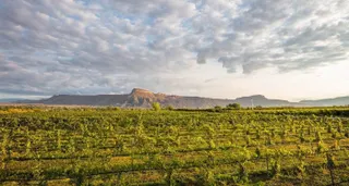 ⛰️ Colorado's dramatic wine landscapes