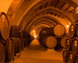 📸 Photo diary: Out and about in Marsala