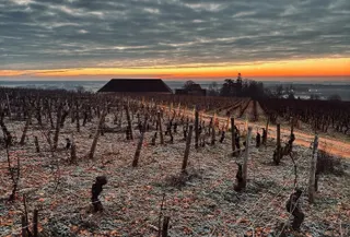 💯 Tasting highlights - January 2025