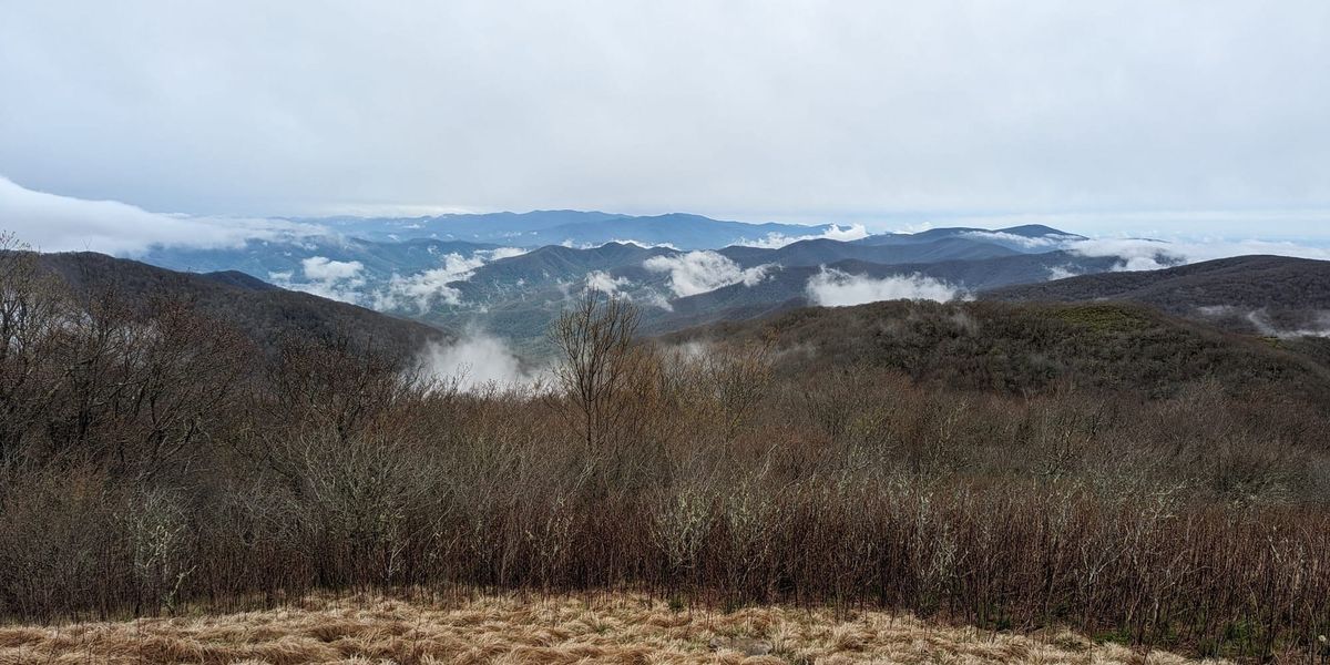 The Smokies