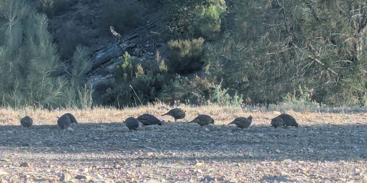 Trail Magic Coast to Coast