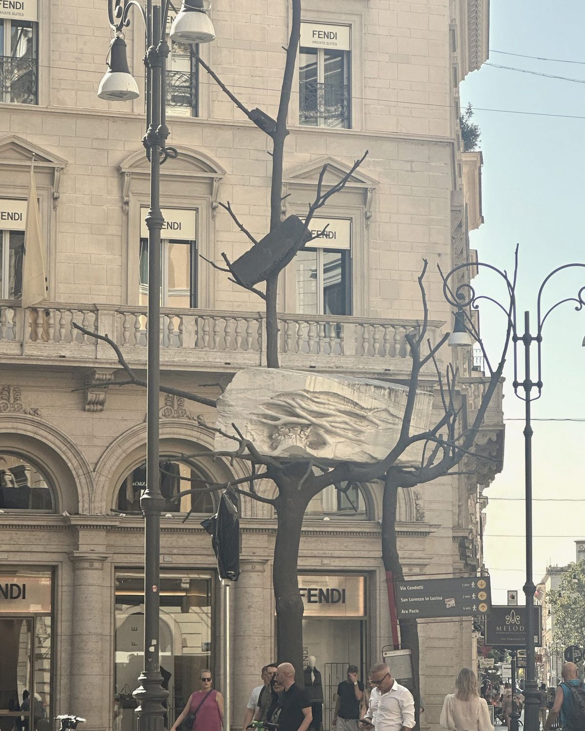 A branch holding up a ruin